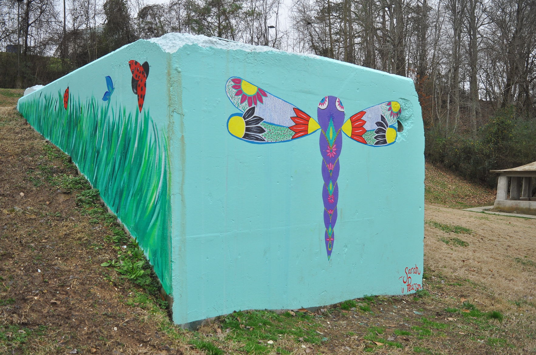 Dragonfly left side.JPG